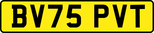BV75PVT