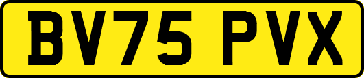 BV75PVX