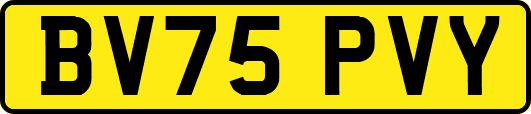 BV75PVY