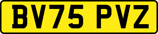 BV75PVZ