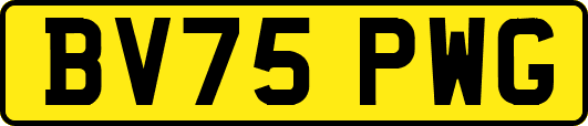 BV75PWG