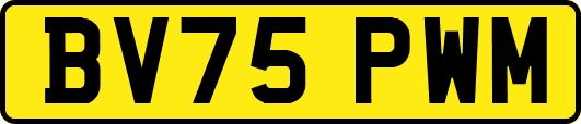 BV75PWM