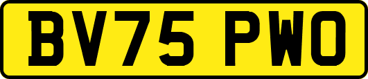 BV75PWO