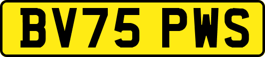 BV75PWS