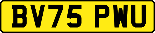 BV75PWU