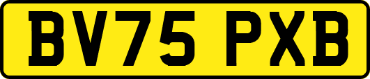 BV75PXB