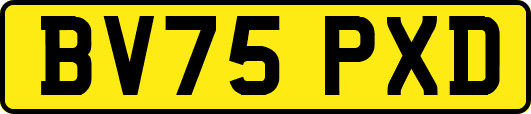 BV75PXD
