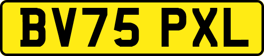 BV75PXL
