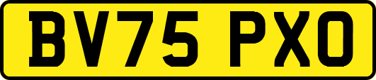 BV75PXO