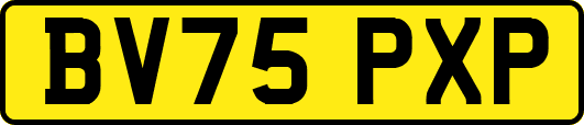 BV75PXP