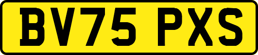 BV75PXS
