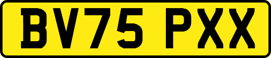 BV75PXX