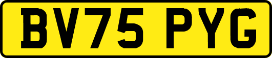 BV75PYG
