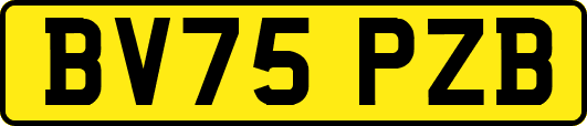 BV75PZB