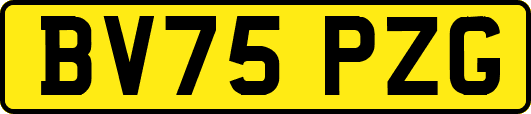 BV75PZG