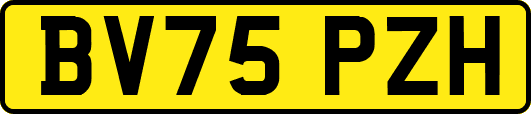 BV75PZH