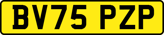 BV75PZP