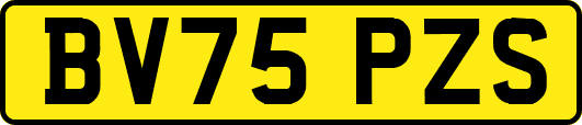BV75PZS