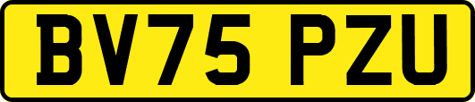 BV75PZU