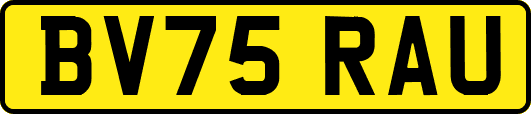 BV75RAU
