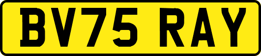BV75RAY