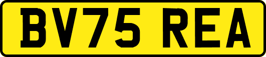 BV75REA