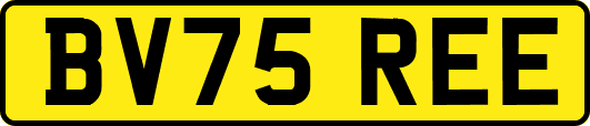 BV75REE