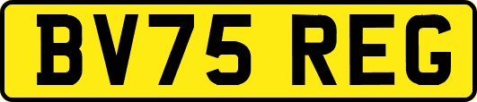 BV75REG