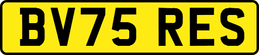 BV75RES