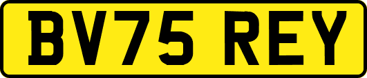 BV75REY