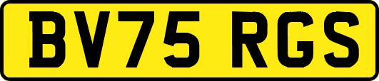 BV75RGS