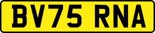 BV75RNA