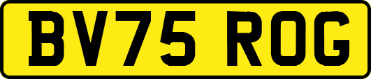 BV75ROG