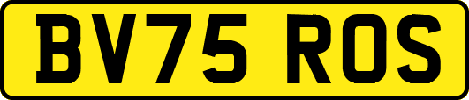 BV75ROS