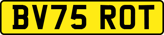 BV75ROT