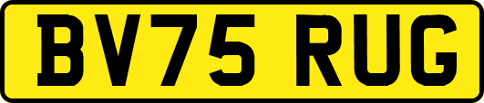 BV75RUG