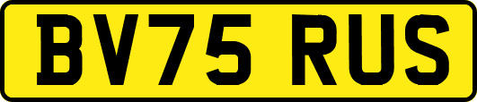 BV75RUS