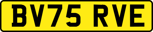 BV75RVE