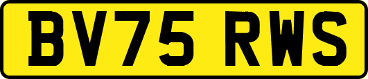 BV75RWS