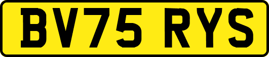 BV75RYS