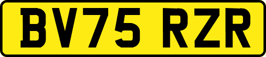 BV75RZR