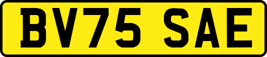BV75SAE