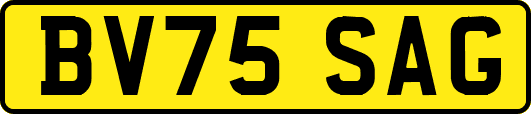 BV75SAG