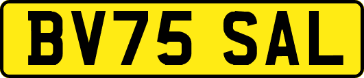 BV75SAL