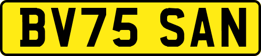 BV75SAN