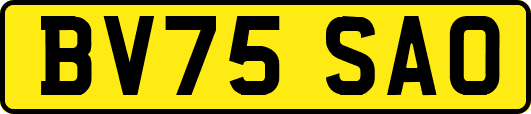 BV75SAO