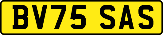 BV75SAS