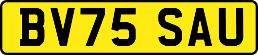 BV75SAU