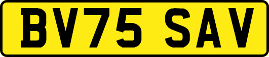 BV75SAV