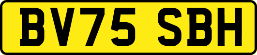 BV75SBH